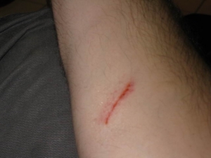 black_lions_coupe_2008_0126